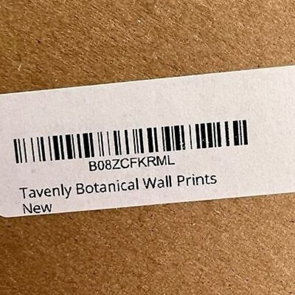 NEW Set of Six 8 X 10 UNFRAMED Botanical Prints by Tavenly Spring Summer Gift - Picture 9 of 10